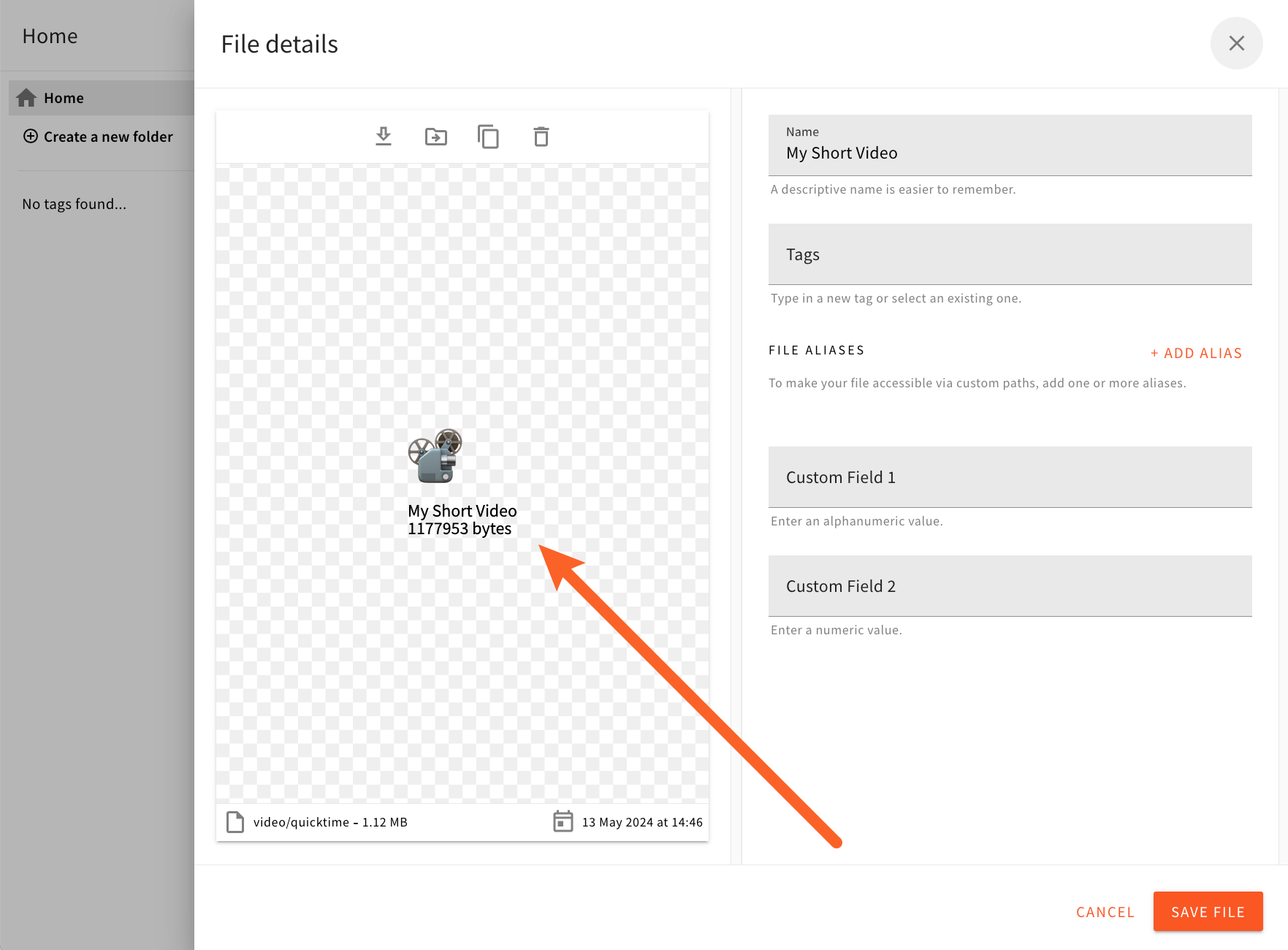 Custom Preview of a Video File - File Details Panel